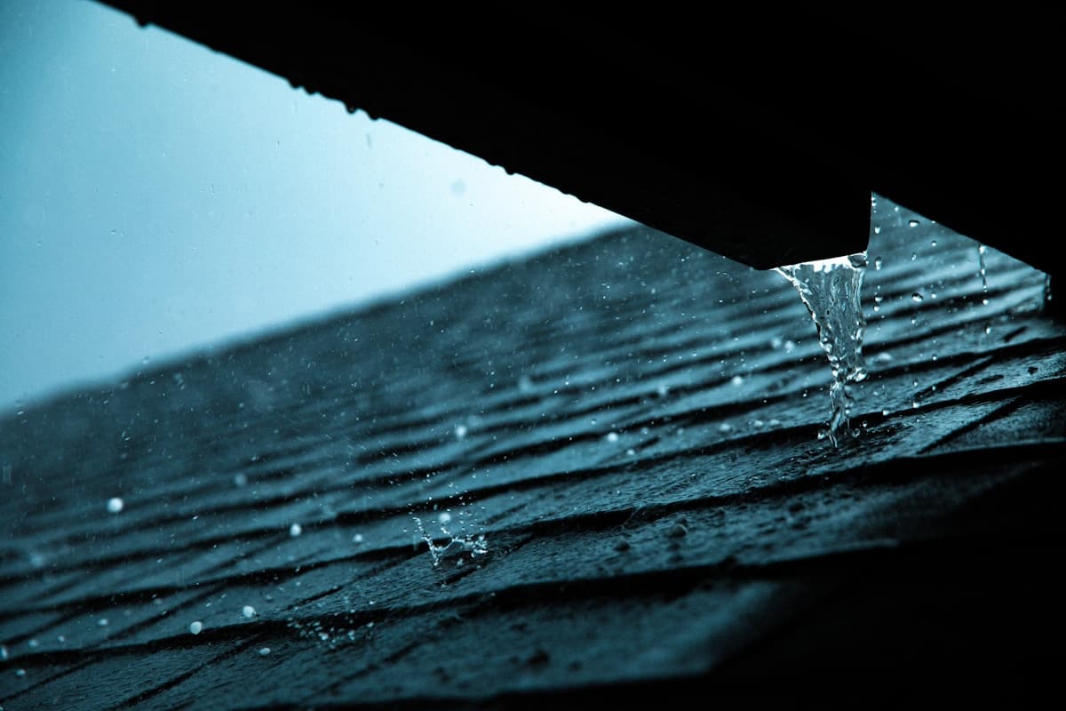 Gutter Cleaning