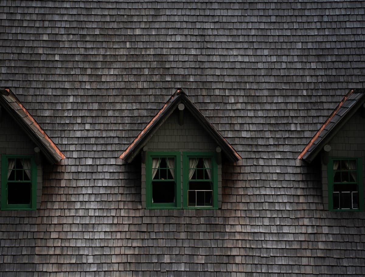 Roof Cleaning